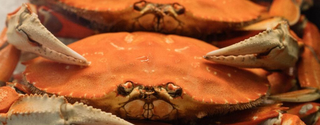Seafood Lovers’ How-To Guide: Cracking into Crabs