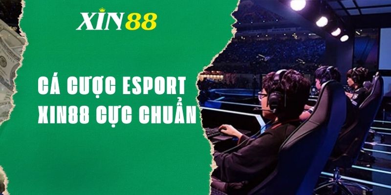 Hướng dẫn cá cược ESPORT XIN88 cực chuẩn cho người mới