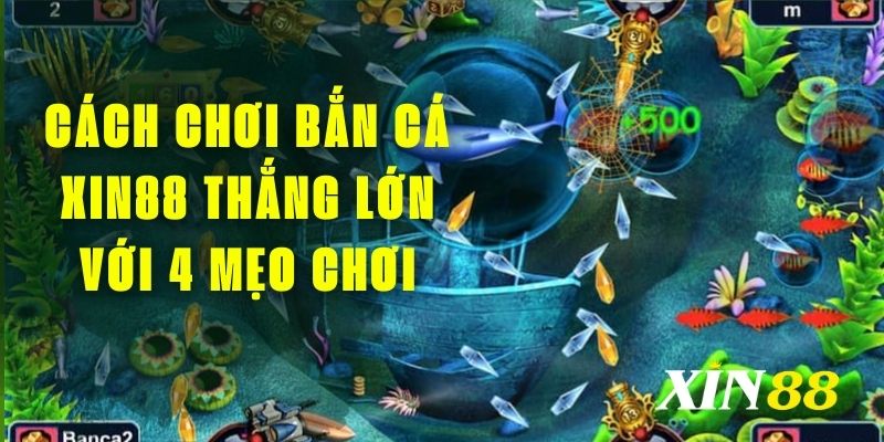 Cách Chơi Bắn Cá Xin88 Thắng Lớn Với 4 Mẹo Chơi